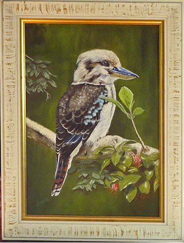 Eastern Kookaburra 